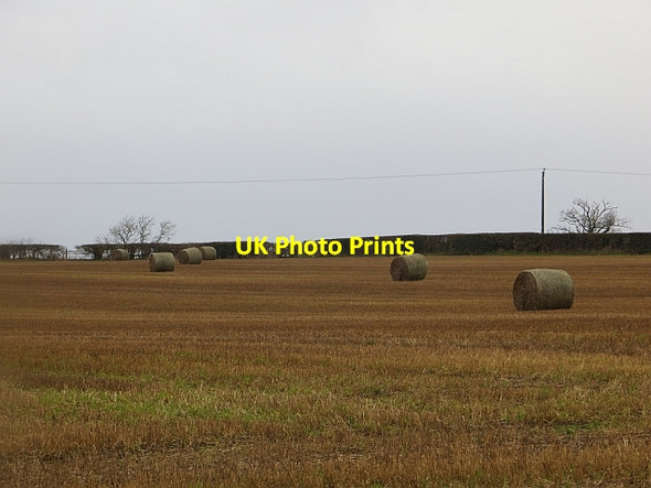 Photo 6"x4" Stubble, Broxwood Upper Broxwood c2014