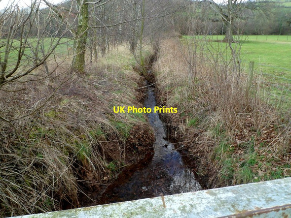 Photo 6"x4" Small stream flows towards the Honddu in Pandy Wern-Gifford c2012