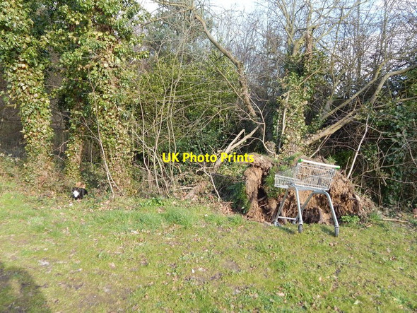 Photo 6"x4" Trolley from Asda, Stoke Park Maidenhall\/TM1542 c2014