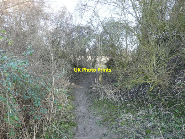 Photo 6"x4" Route of the North Downs Way Coldred c2014