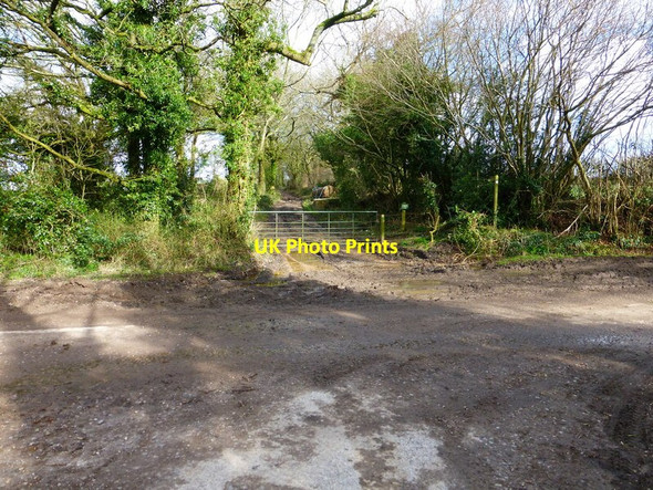 Photo 6"x4" Footpath going east from Bensgreen Farm High Cross\/SU7126 c2014