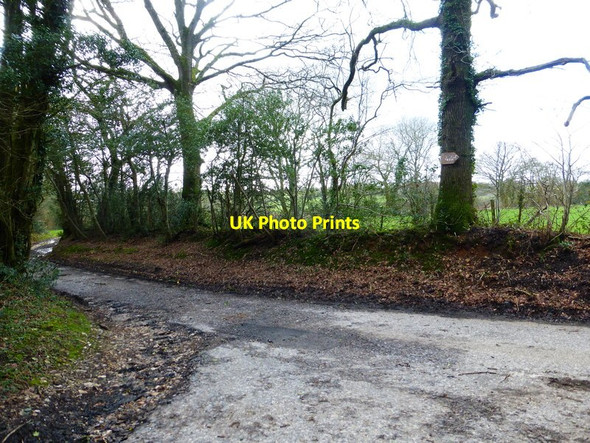 Photo 6"x4" Junction on Ivyhouse Lane High Cross\/SU7126 c2014