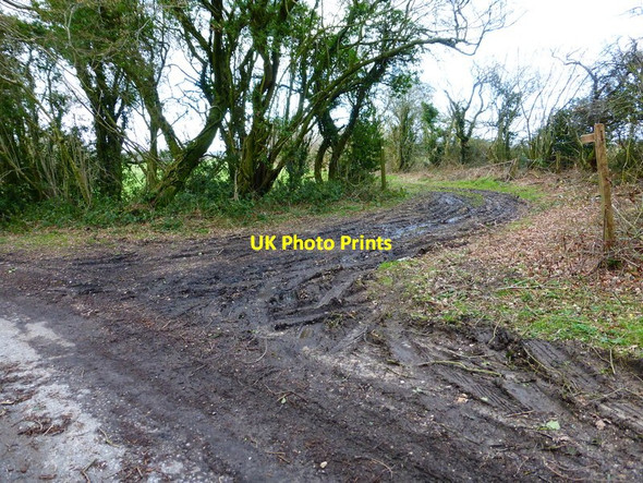Photo 6"x4" Footpath junction with lane north of Hermitage Farm Colemore c2014