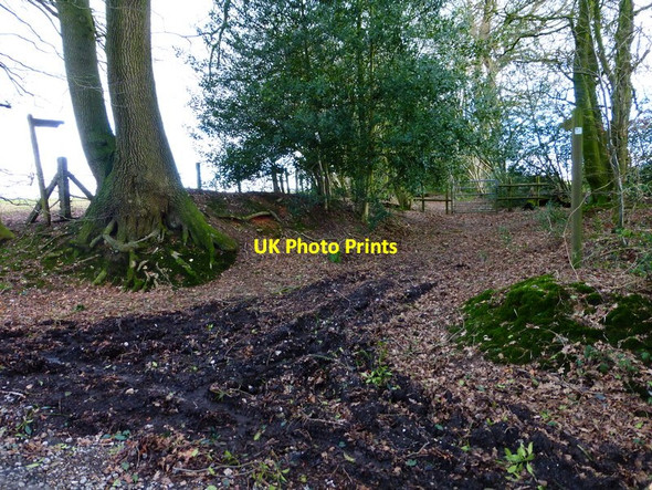 Photo 6"x4" Bridleway leaves lane at Hermitage Farm Colemore c2014