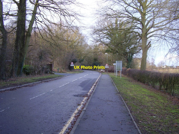 Photo 6"x4" Rufford Lane Lidgett c2014