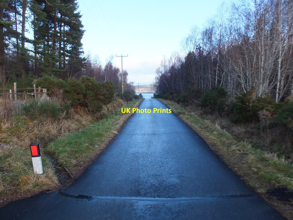 Photo 6"x4" The road to Blackpark Leachkin c2014