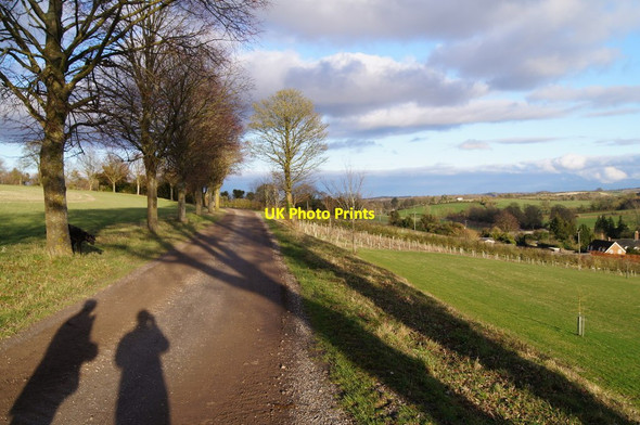 Photo 6"x4" Long shadow time Ecchinswell c2014