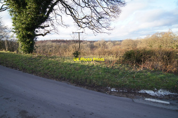 Photo 6"x4" Soft verge - Ecchinswell Lane Ecchinswell c2014