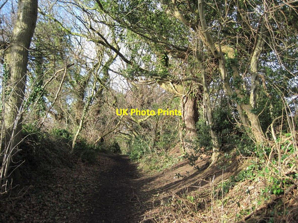 Photo 6"x4" Track from Gayton Farm Road Gayton\/SJ2780 c2014