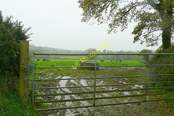 Photo 6"x4" Pasture near Castell-Howel Salem\/SN6226 c2008