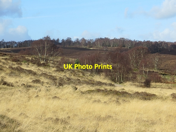 Photo 6"x4" Sherbrook Valley Bednall Head c2014