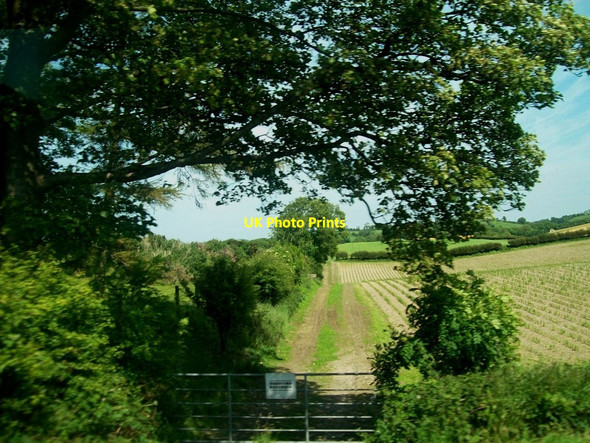 Photo 6"x4" Field gate on the Ballydugan Road Annadorn c2011
