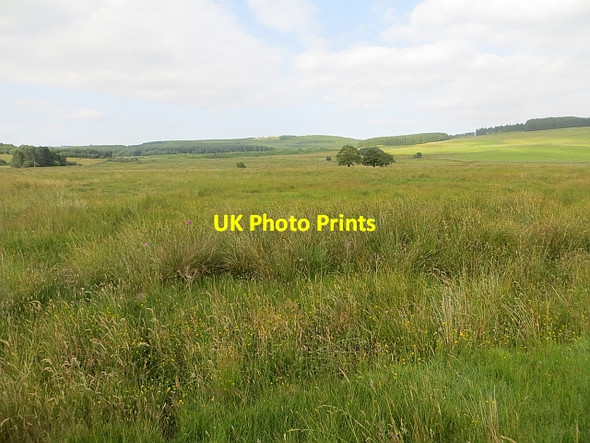 Photo 6"x4" Wetland, Glensone Beeswing c2013