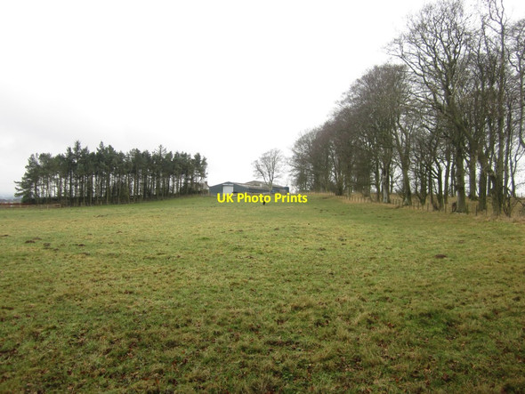 Photo 6"x4" Grass paddock at Foulden Hill Mordington Holdings c2014
