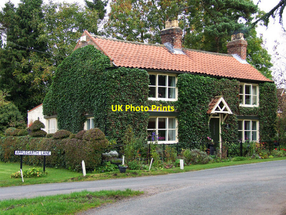 Photo 6"x4" Ivy Covered Cottage Bainton\/SE9652 c2008