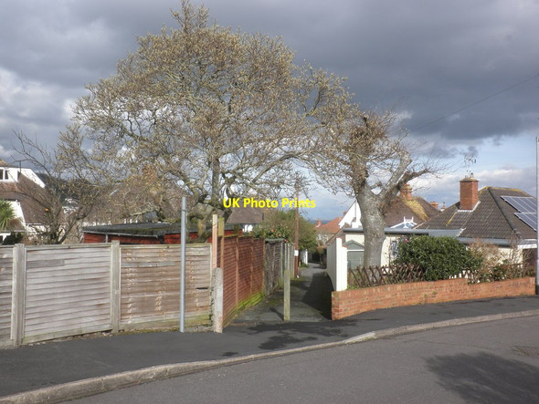 Photo 6"x4" Hopcott Path Minehead c2014