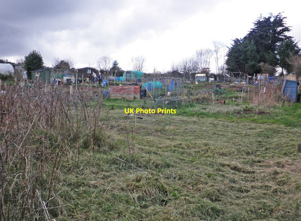 Photo 6"x4" Allotments, Periton Minehead c2014