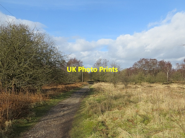 Photo 6"x4" Track, Cannock Chase Slitting Mill c2014
