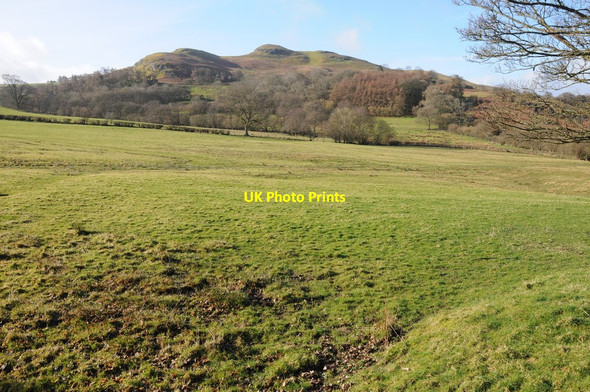 Photo 6"x4" Farmland below Llandegley Rocks Llandegley c2014