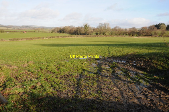 Photo 6"x4" Farmland near Nantddu Llandegley c2014
