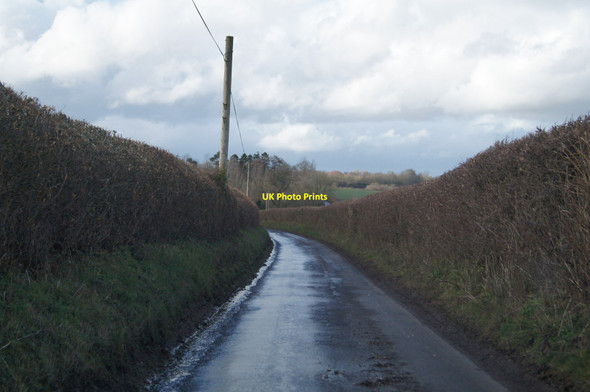 Photo 6"x4" Lane near Powells Farm Bentworth c2014
