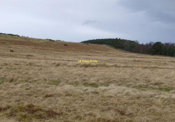 Photo 6"x4" Looking north across the eastern slopes of Heddon Hill Ilderton c2014