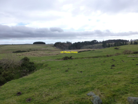 Photo 6"x4" Ilderton Moor Ilderton c2014