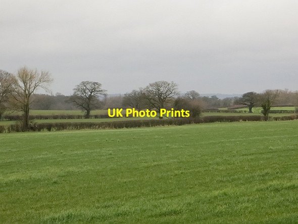 Photo 6"x4" Grass fields, Leasowes Leebotwood c2014