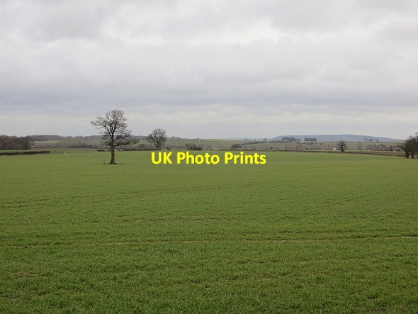 Photo 6"x4" Winter cereals, Condover Condover c2014