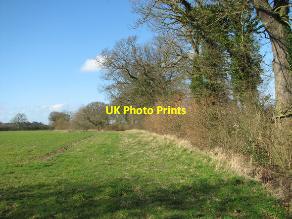 Photo 6"x4" Field boundary hedge Hulver Street c2014