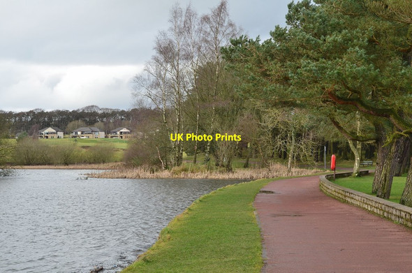 Photo 6"x4" Northeastern side of Lanark Loch Lanark c2014