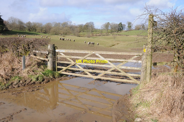 Photo 6"x4" Field gate and footpath sign Dolau\/SO1467 c2014