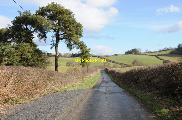 Photo 6"x4" Country road above Dolau Dolau\/SO1467 c2014