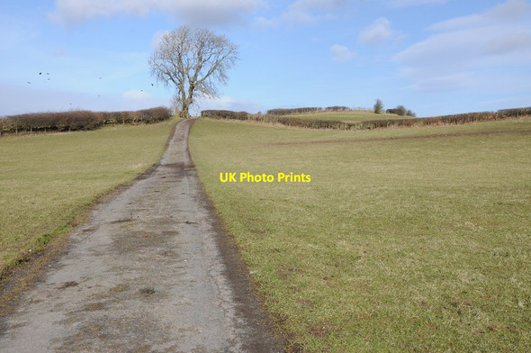 Photo 6"x4" Road to Lower Pentre Dolau\/SO1467 c2014