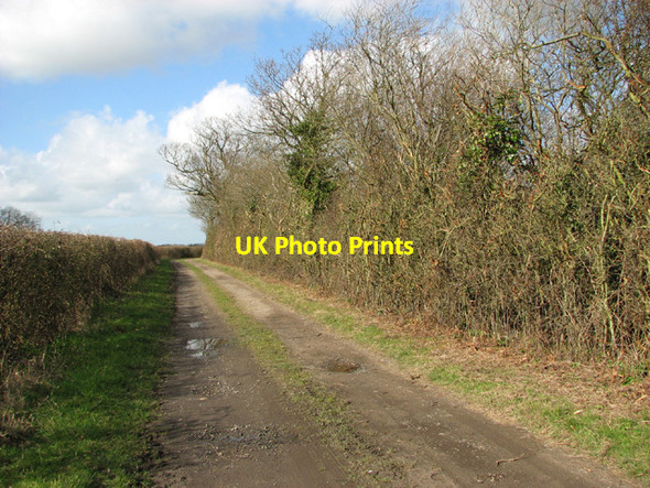 Photo 6"x4" View along Green Lane West End\/TM4683 c2014