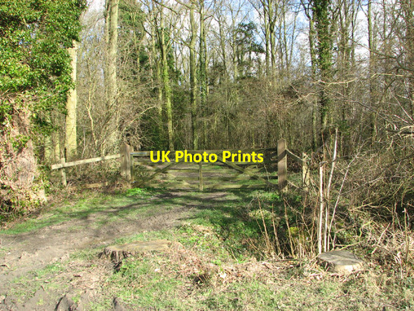 Photo 6"x4" Gated track into wood by Green Lane West End\/TM4683 c2014