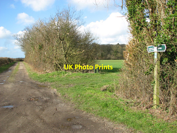 Photo 6"x4" Fingerposts on Green Lane West End\/TM4683 c2014