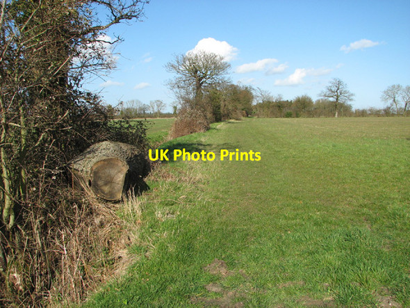 Photo 6"x4" Footpath to Green Lane Sotterley c2014