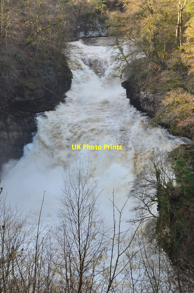 Photo 6"x4" Corra Linn, River Clyde Lanark c2014