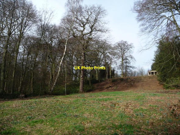 Photo 6"x4" Clearing in Bridge Royd Wood West Bretton\/SE2813 c2014