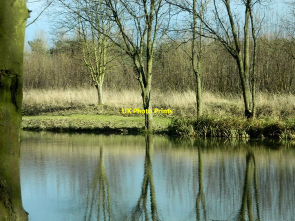 Photo 6"x4" Pond and reflected trees Catthorpe c2014