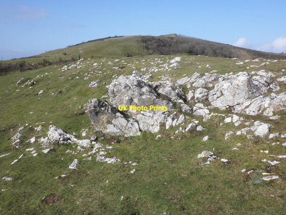 Photo 6"x4" Looking up the ridge towards Crook Peak Compton Bishop c2014