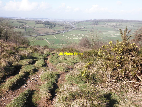 Photo 6"x4" Path down to Webbington Barton\/ST3956 c2014