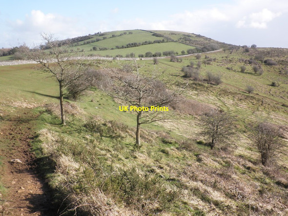 Photo 6"x4" View towards Wavering Down Barton\/ST3956 c2014