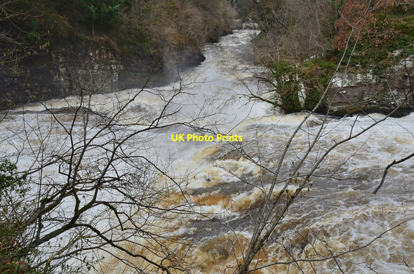Photo 6"x4" River Clyde at Bonnington Linn Bankhead\/NS8842 c2014