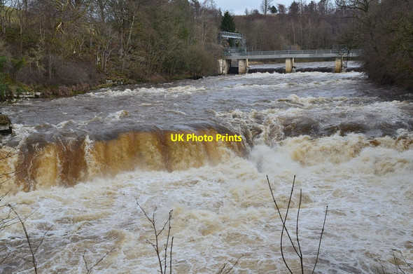 Photo 6"x4" Bonnington Linn below the bridge Bankhead\/NS8842 c2014