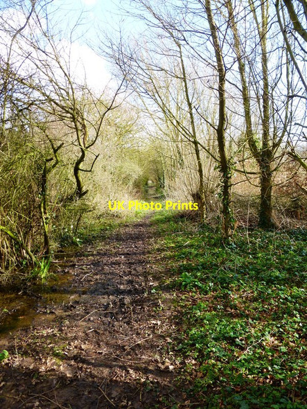 Photo 6"x4" Partially flooded footpath going east towards Lidsey Lidsey c2014