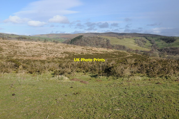 Photo 6"x4" Upland mid-Wales Dolau\/SO1467 c2014
