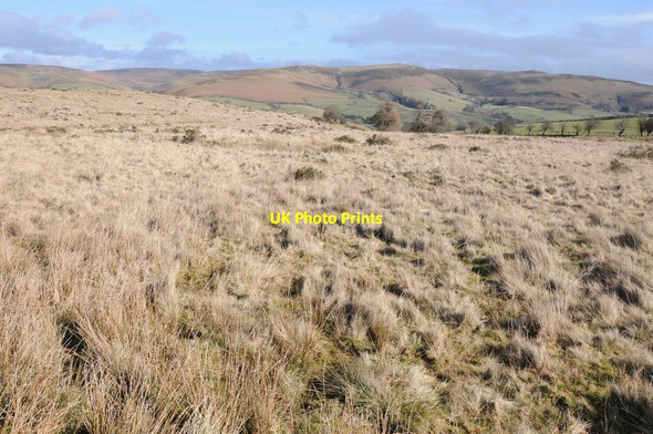 Photo 6"x4" Littlehill Common Llanbister c2014