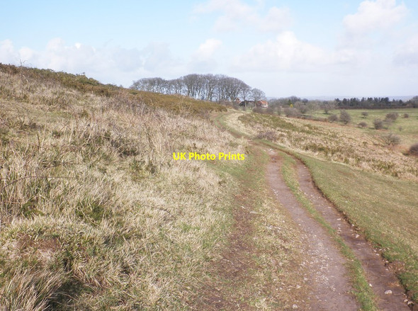 Photo 6"x4" Footpath leading to Hill Farm Compton Bishop c2014